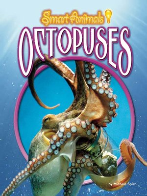 Octopuses - ebook